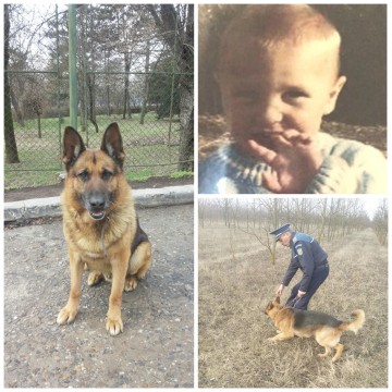 Copilul surdo-mut, dispărut de la Şiriu, a fost găsit cu ajutorul câinilor Poliţiei: dormea într-un lan de păpuriş